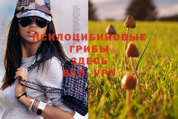 Альфа ПВП Балахна