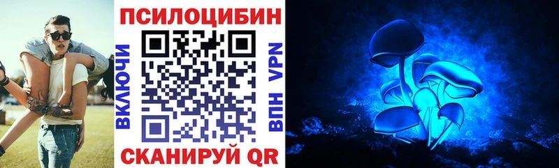Псилоцибиновые грибы мицелий  наркошоп  Кяхта 